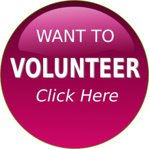 volunteer 